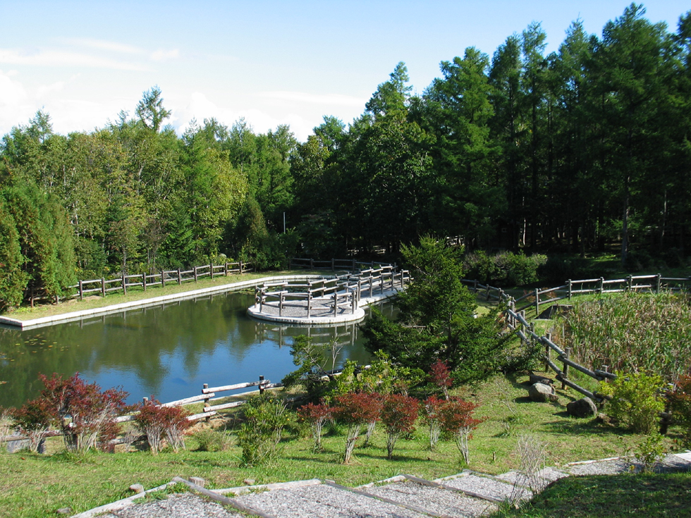 森林公園