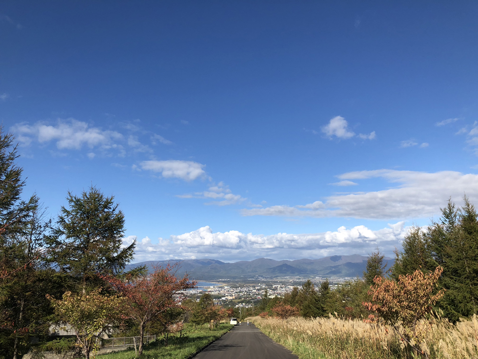 森林公園