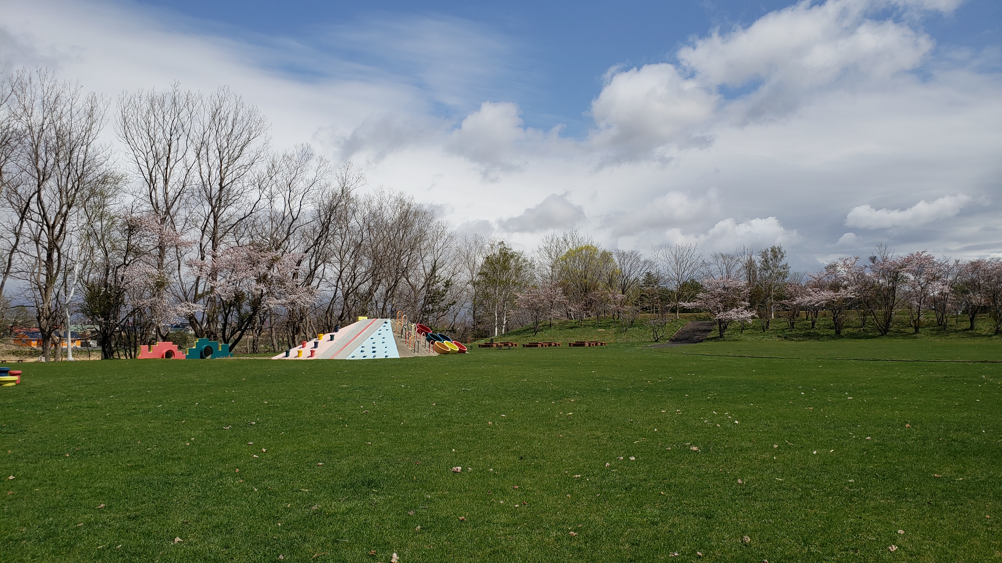 運動公園景色